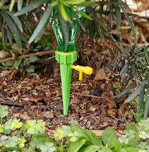 Drip Irrigation Design