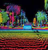 LiDAR Data Processing