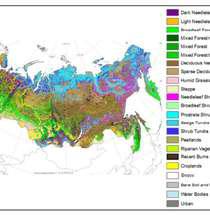 Thematic Maps