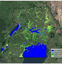 Wetland Mapping
