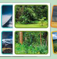 Habitat Mapping